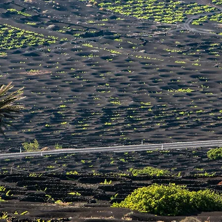 Home2book Bright Playablanca, Terrace Playa Blanca (Lanzarote)