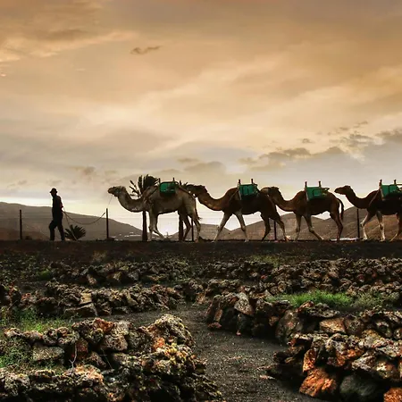 Home2book Bright Playablanca, Terrace דירה פלאיה בלנקה