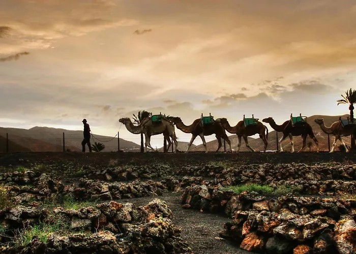 Home2book Bright Playablanca, Terrace Lägenhet Playa Blanca (Lanzarote)
